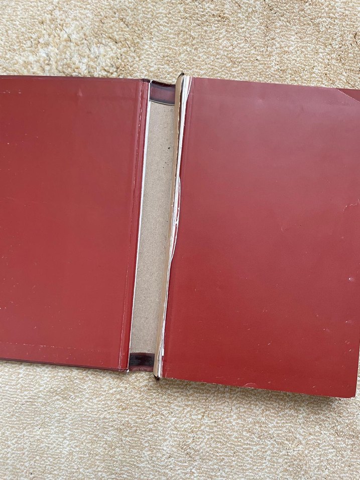 Saftirik Greg'in Günlüğü: Ah Kalbim! - Görsel 2