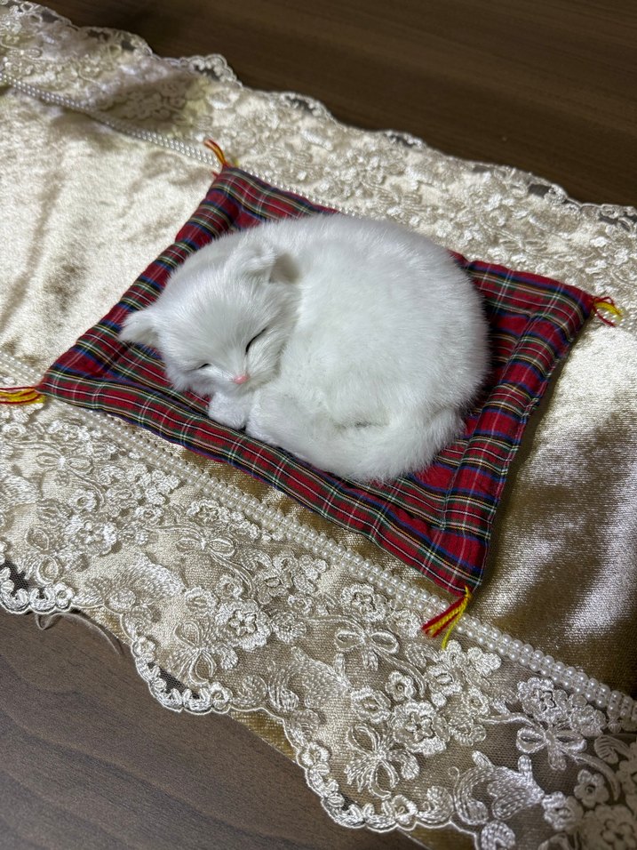 Beyaz Yumuşak Kedi Yatağı Minderi - Görsel 2