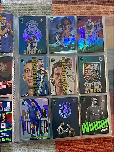 diğer Beden çeşitli Renk Panini 2023