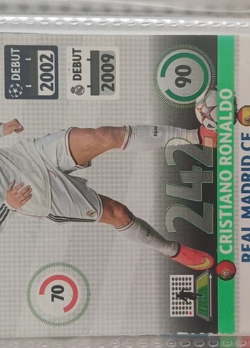 Panini