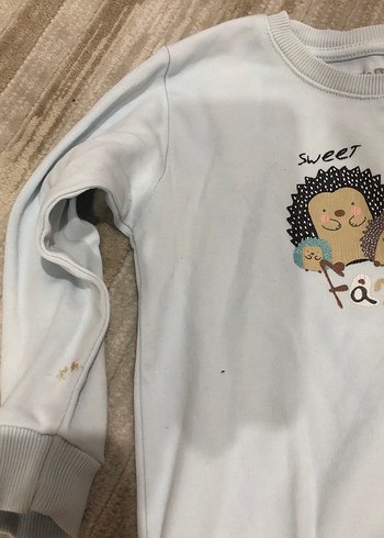 Bej Pamuklu erkek Çocuk Sweatshirt - Görsel 2