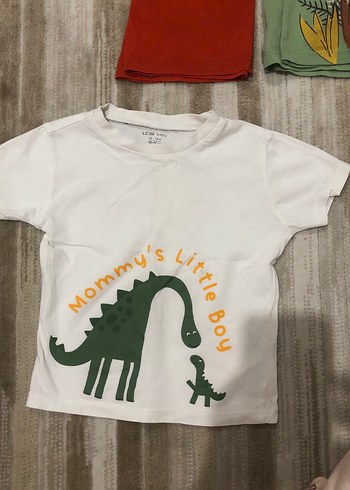 Renkli Pamuklu Bebek Erkek Kısa Kollu Takım - Görsel 6