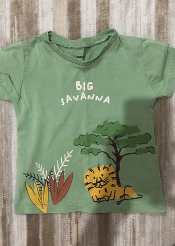 Renkli Pamuklu Bebek Erkek Kısa Kollu Takım - Görsel 8