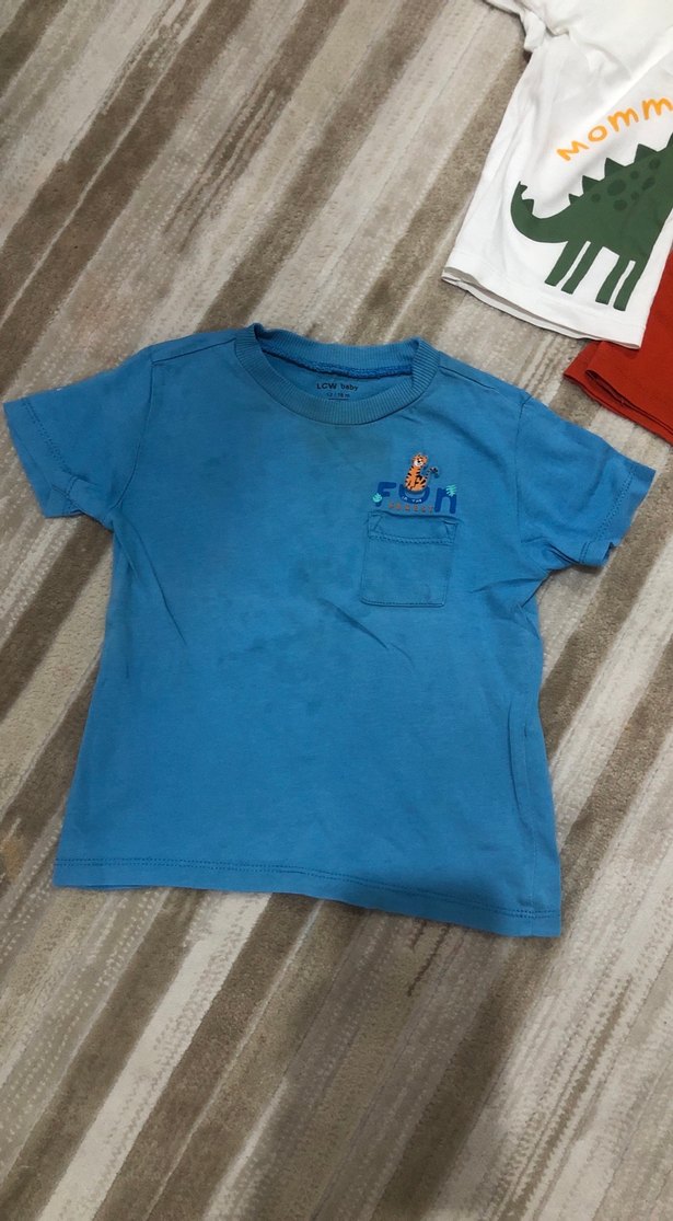 Renkli Pamuklu Bebek Erkek Kısa Kollu Takım - Görsel 4