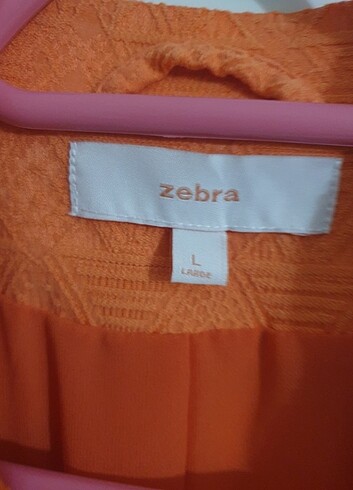 Diğer Blazer ceket