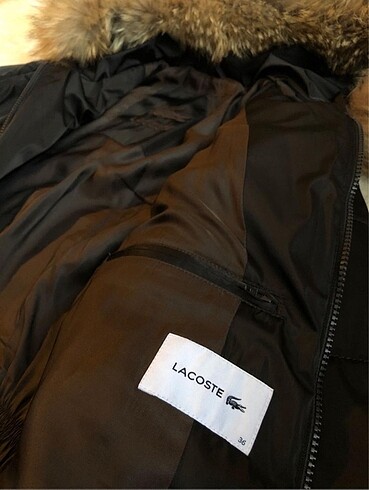 s Beden Lacoste mont