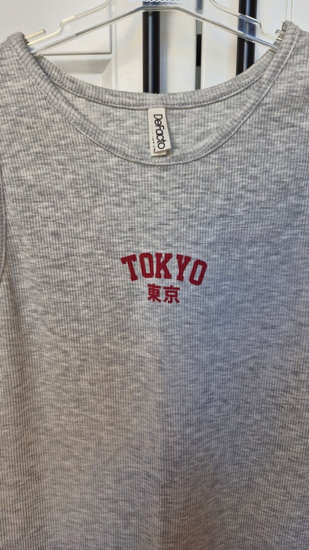 Kız Çocuk Gri Kolsuz Baskılı Elbise - Görsel 3