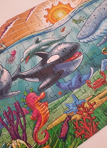 Beden Deniz hayvanları puzzle