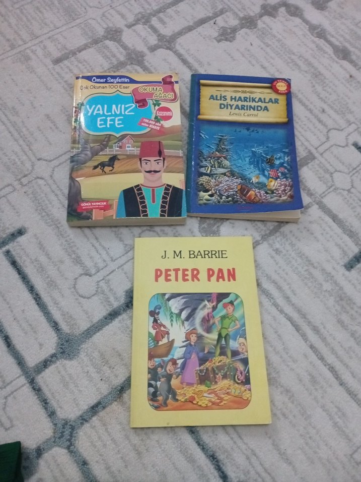Çocuk Kitapları Seti - Klasik ve Macera - Görsel 5