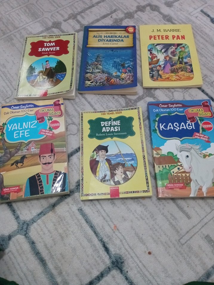 Çocuk Kitapları Seti - Klasik ve Macera - Görsel 2