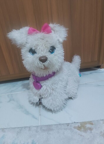  Köpek 