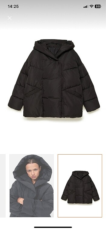 Stradivarius Mont