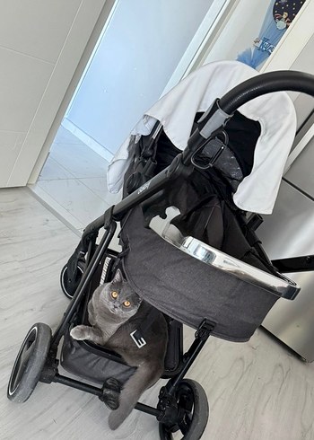 bebek arabası ebebek markalı - Görsel 2