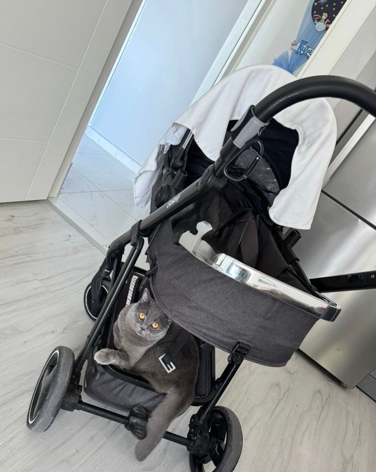 bebek arabası ebebek markalı - Görsel 2