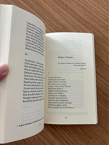 Beden Renk Yevgeni Onegin - Puşkin