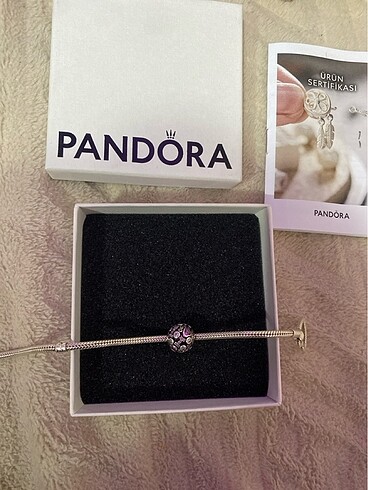  Beden pembe Renk Pandora charm