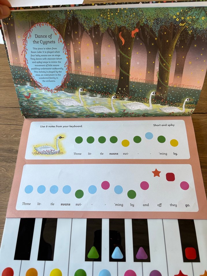 Renkli Hikaye Orkestrası Müzik Oyuncağı - Görsel 5