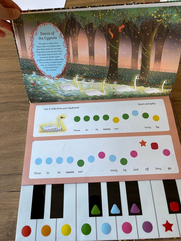 Renkli Hikaye Orkestrası Müzik Oyuncağı - Görsel 2