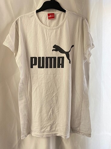 Pumaa