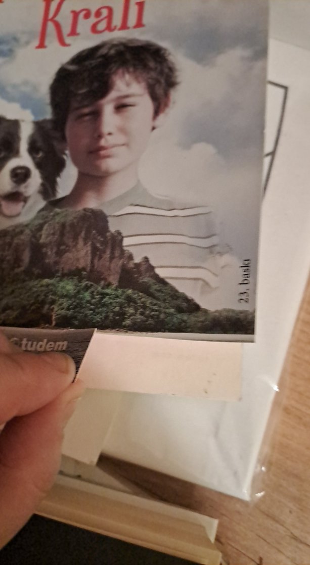 Issız Adanın Kralı - Michael Morpurgo - Görsel 2