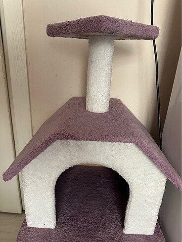 Kedi evi
