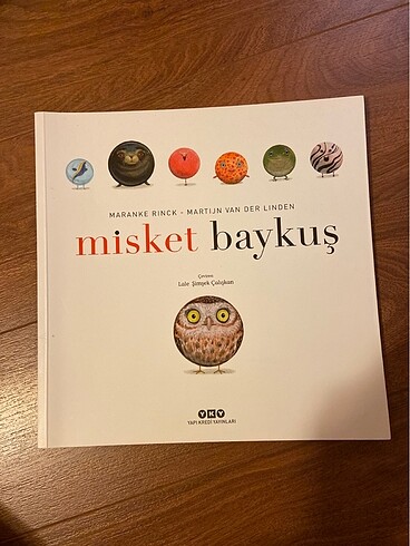 Misket baykuş