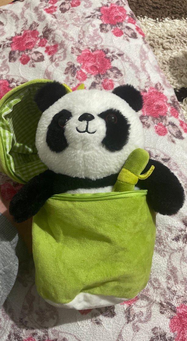 Yumuşak Peluş Çantalı Bambu Panda Oyuncak - Görsel 2