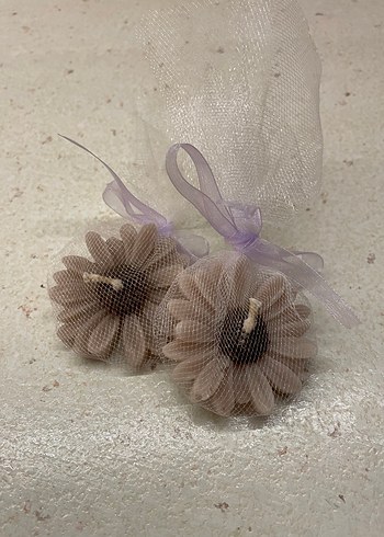 Papatya Mumlar - Görsel 3