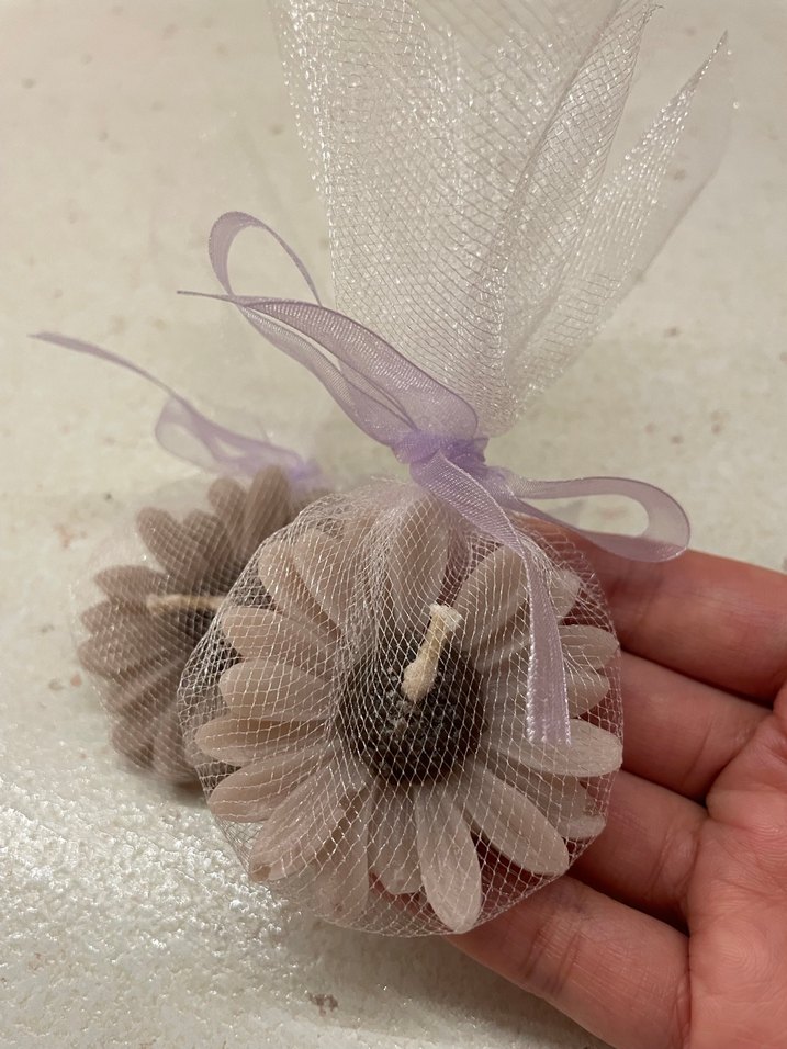 Papatya Mumlar - Görsel 2