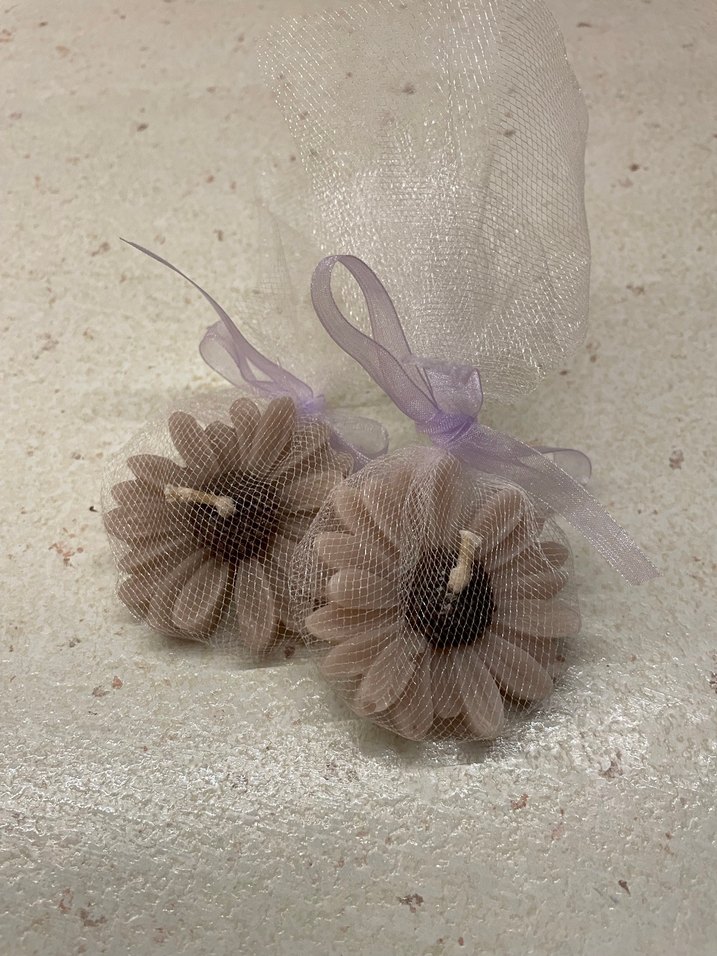 Papatya Mumlar - Görsel 3