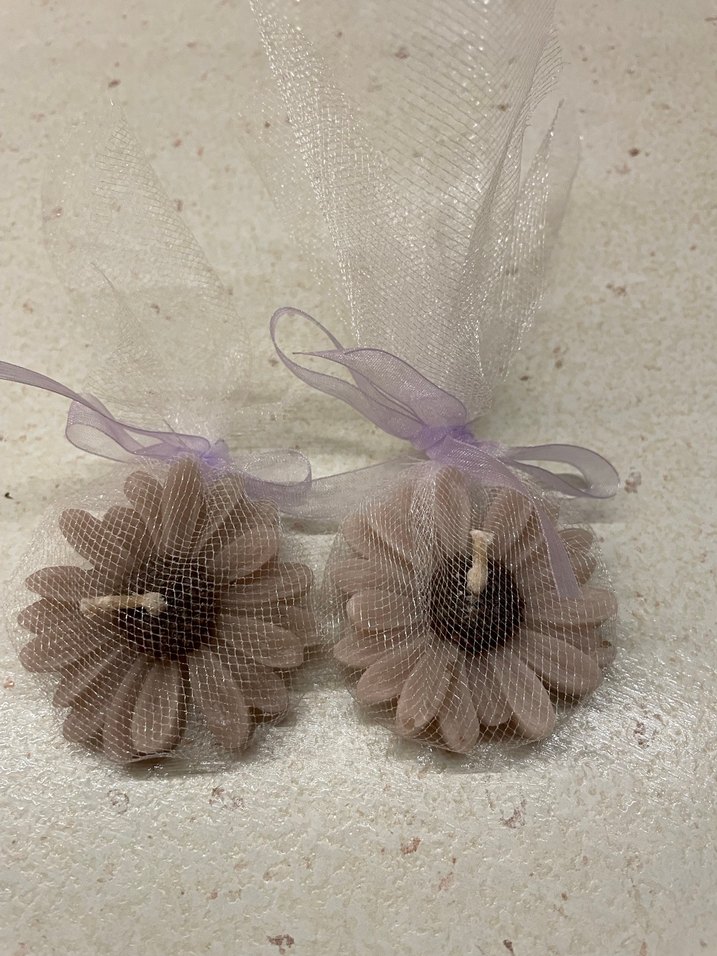 Papatya Mumlar - Görsel 4