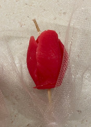 Lale Mum - Görsel 3