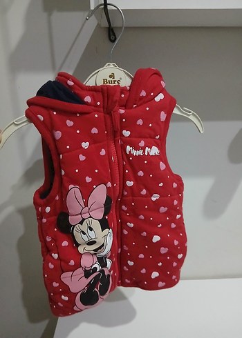 Walt Disney World 12-18 Ay