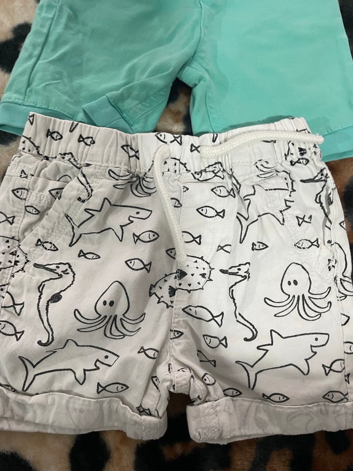 Turkuaz Renkli Düğmeli Erkek Şort - Görsel 2