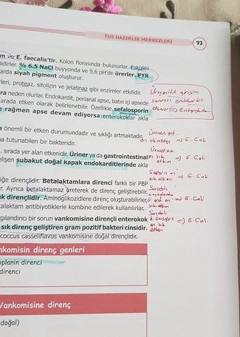 Beden Renk TUSDATA Mikrobiyoloji şampiyonlar notu