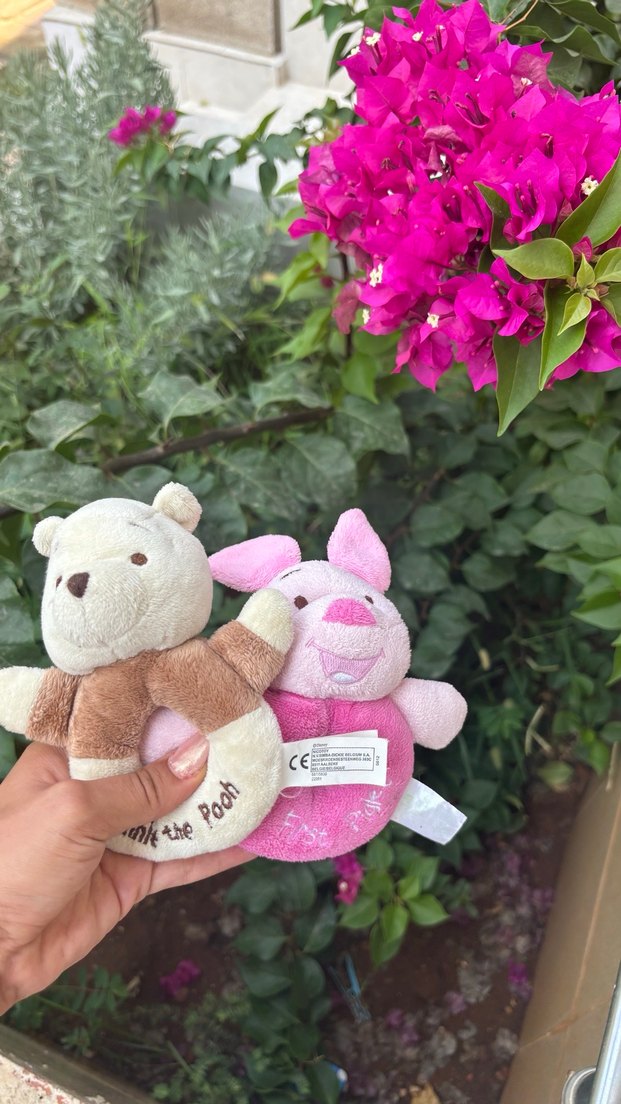 Renkli Peluş Oyuncak Seti - Görsel 2