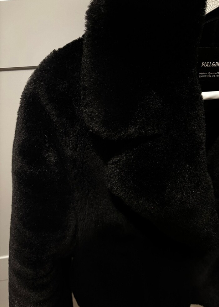 Suni kürk kaban - Görsel 2