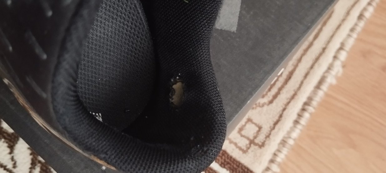 Lotto Siyah Erkek Futbol Ayakkabısı - Görsel 4