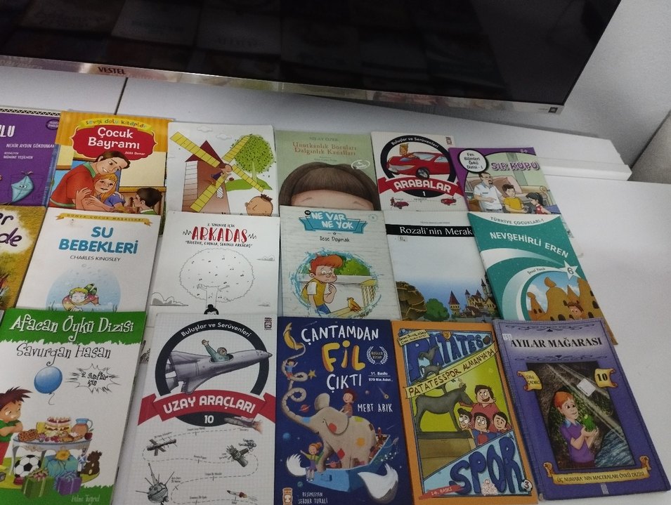 Çocuklar İçin Eğitici ve Eğlenceli Kitaplar - Görsel 2