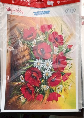 MYHOBBY SULU TRANSFER - Görsel 18