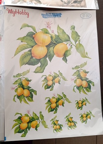 MYHOBBY SULU TRANSFER - Görsel 6