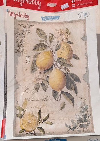 MYHOBBY SULU TRANSFER - Görsel 5