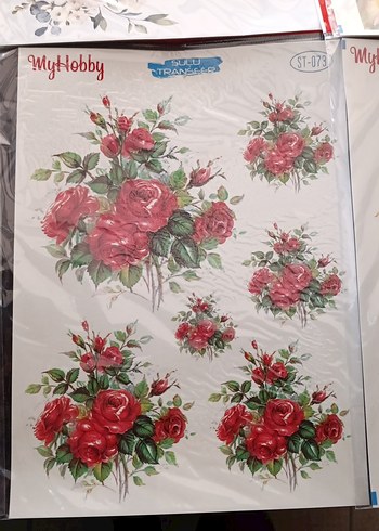 MYHOBBY SULU TRANSFER - Görsel 7