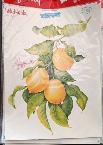 MYHOBBY SULU TRANSFER - Görsel 14