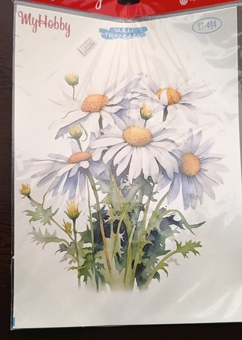 MYHOBBY SULU TRANSFER - Görsel 3