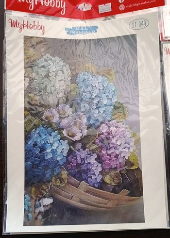 MYHOBBY SULU TRANSFER - Görsel 11