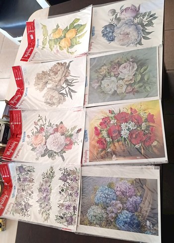 MYHOBBY SULU TRANSFER - Görsel 19