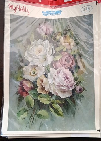 MYHOBBY SULU TRANSFER - Görsel 17