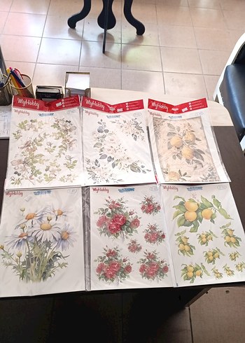 MYHOBBY SULU TRANSFER - Görsel 4