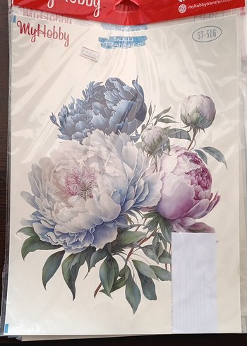 MYHOBBY SULU TRANSFER - Görsel 16